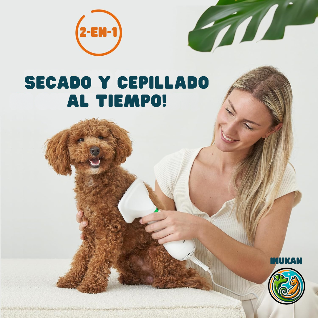 BrushDry™ | Cepillo secador 2-EN-1