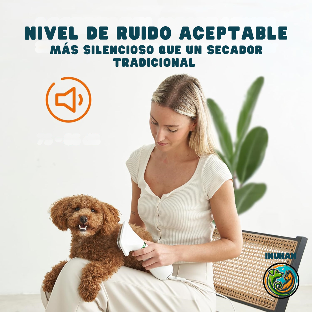 BrushDry™ | Cepillo secador 2-EN-1