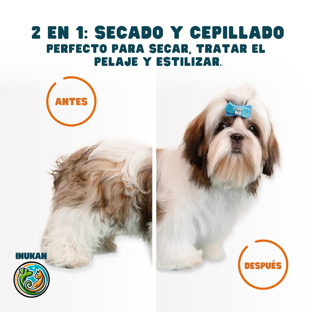 BrushDry™ | Cepillo secador 2-EN-1