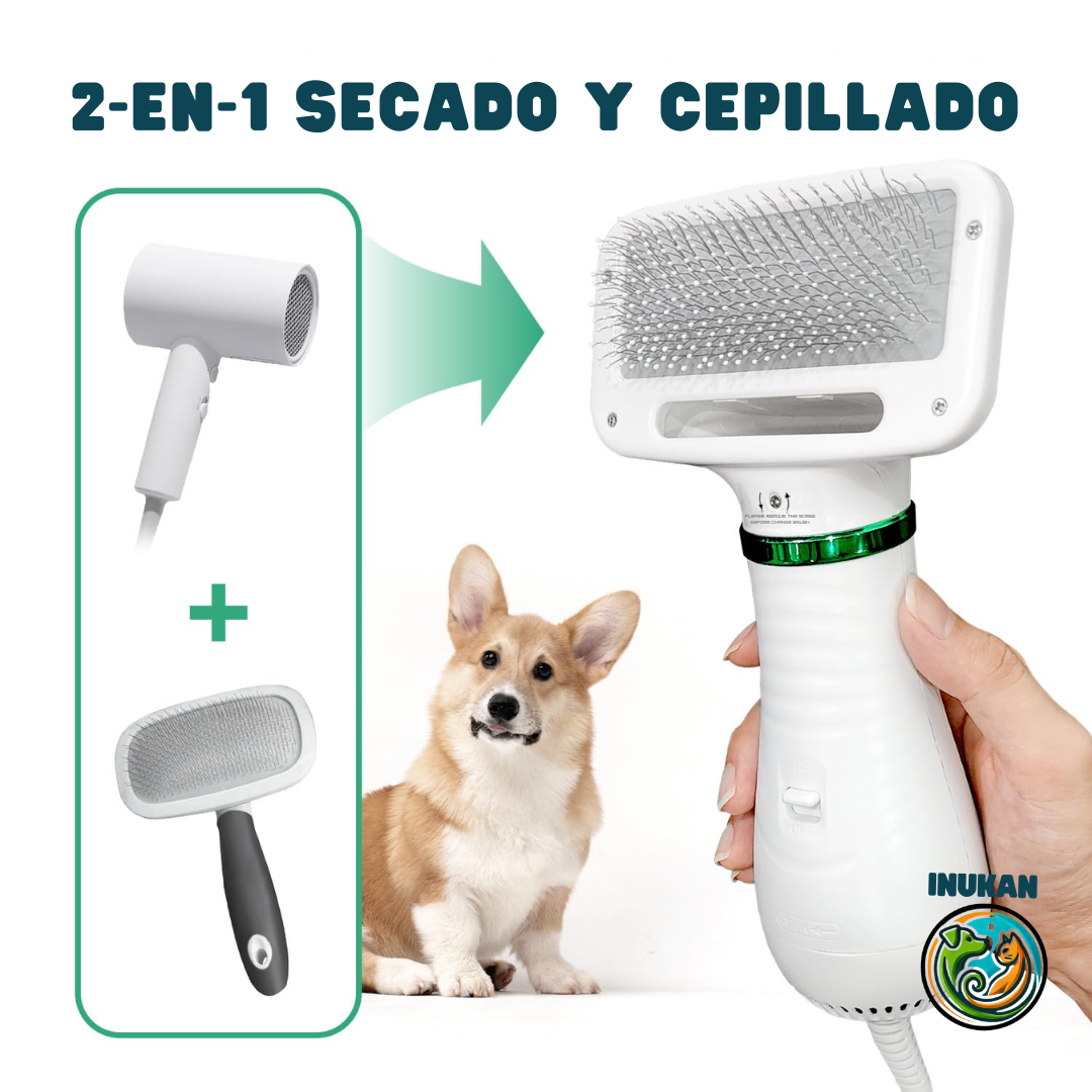 BrushDry™ | Cepillo secador 2-EN-1